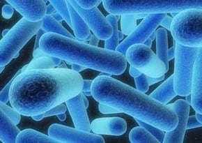 legionella