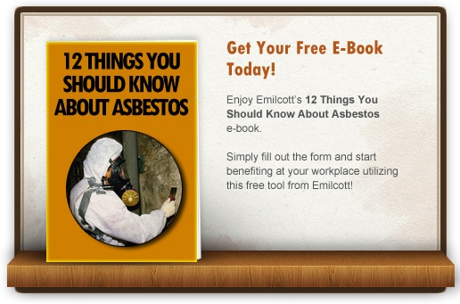 12Things_Asbestos_Checklist_Book